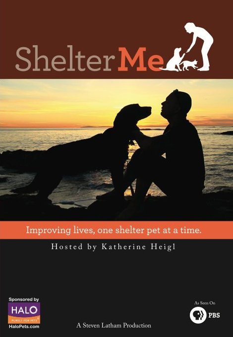 Poster of the movie Shelter Me