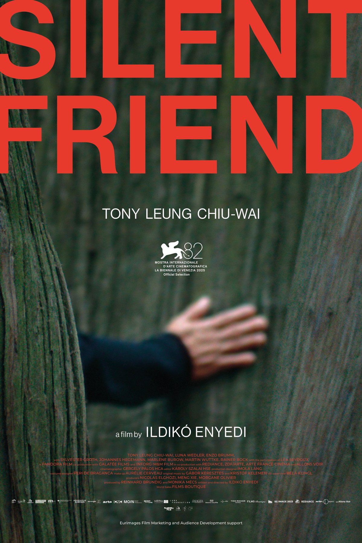 Poster of the movie Silent Friend