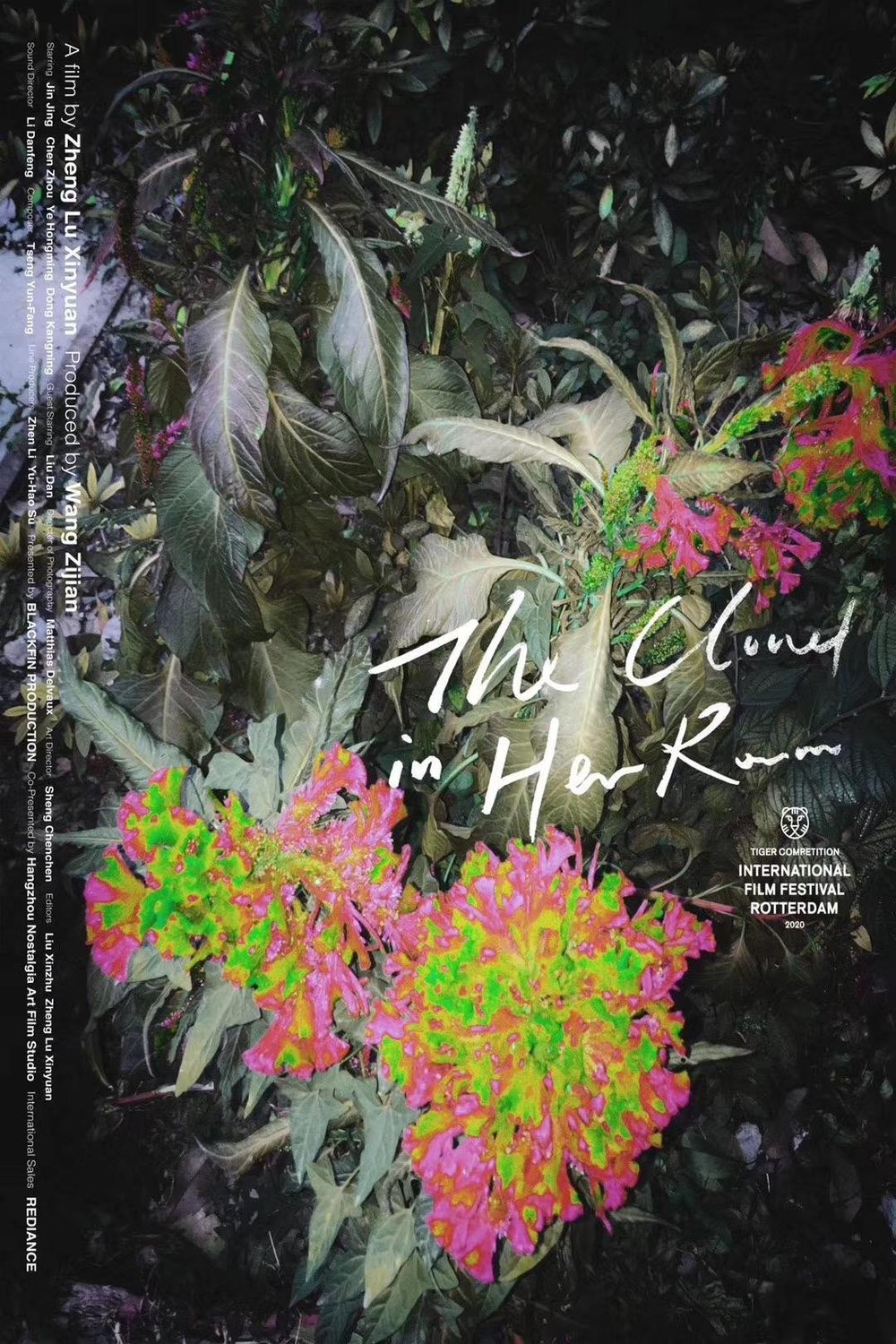 L'affiche originale du film The Cloud in Her Room en mandarin