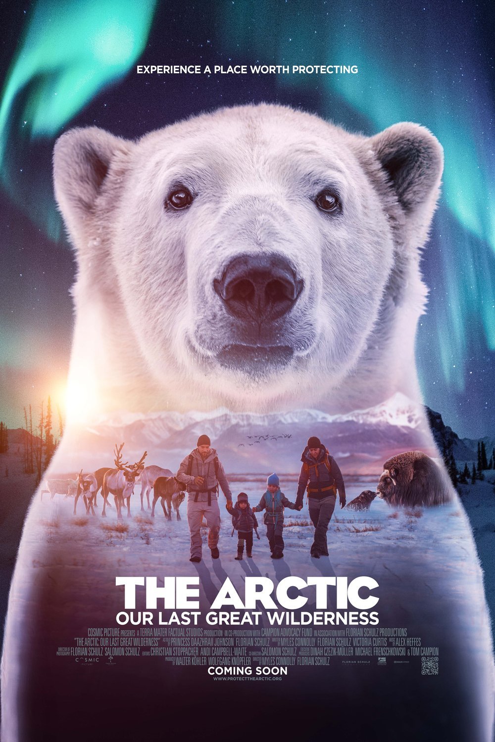 L'affiche du film The Arctic: Our Last Great Wilderness