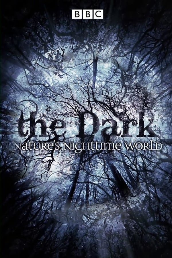 L'affiche du film The Dark: Nature's Nighttime World