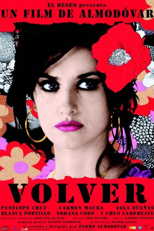 Poster of the movie Volver v.f.