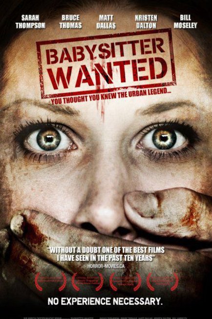 L'affiche du film Babysitter Wanted [2008]