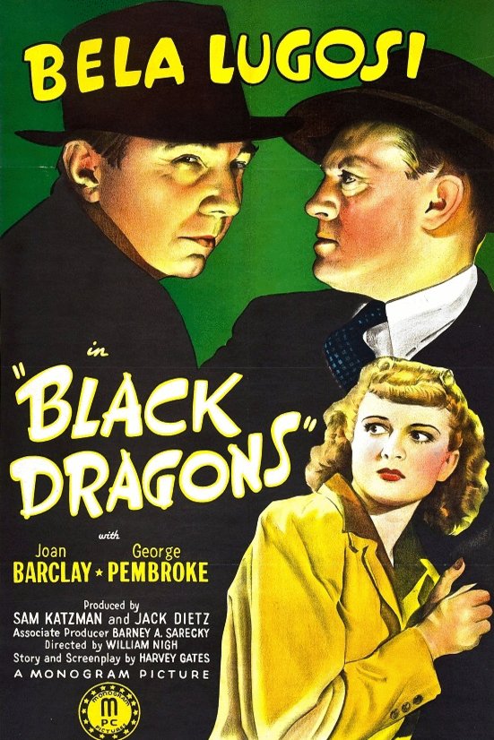 Poster of the movie Black Dragons