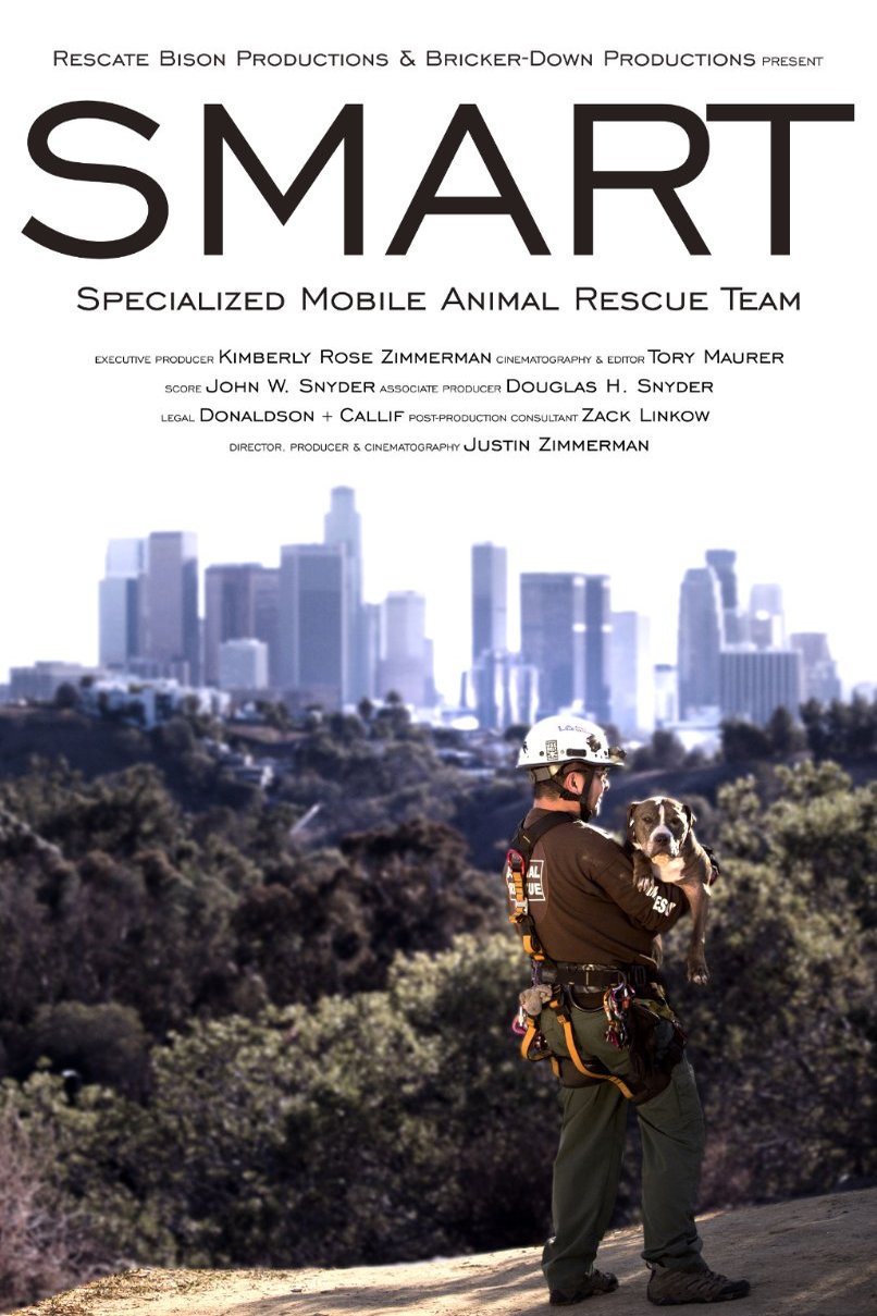 Poster of the movie SMART