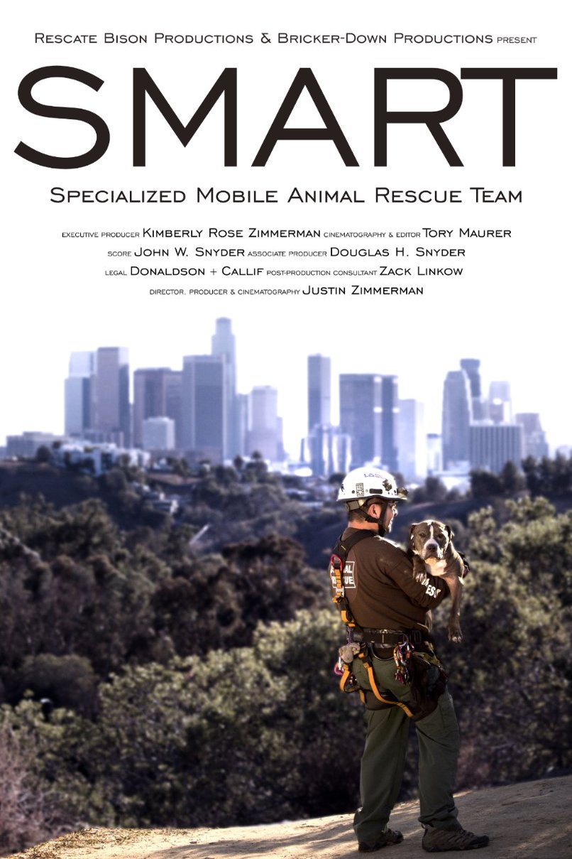 L'affiche du film SMART [2016]