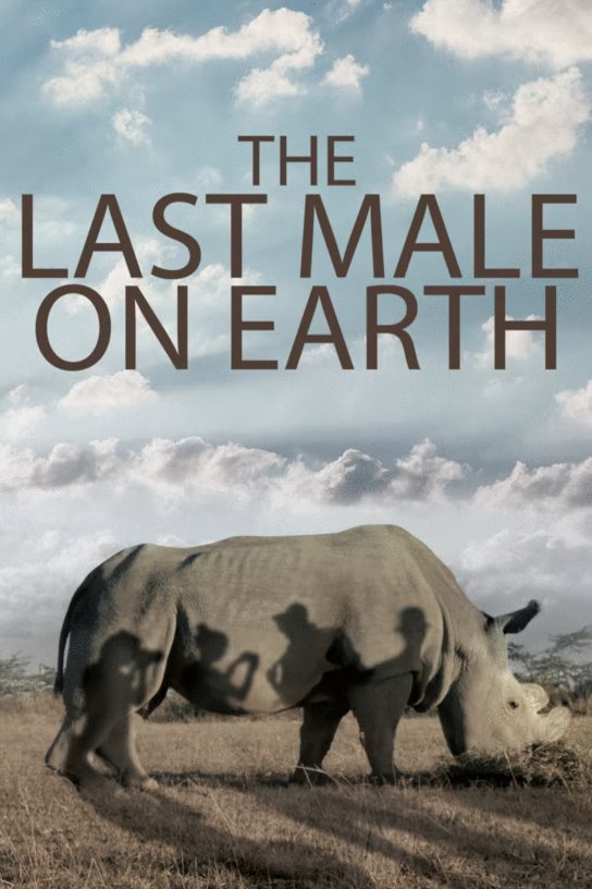 L'affiche du film The Last Male on Earth [2019]