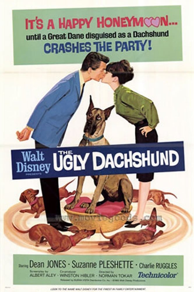 L'affiche du film The Ugly Dachshund