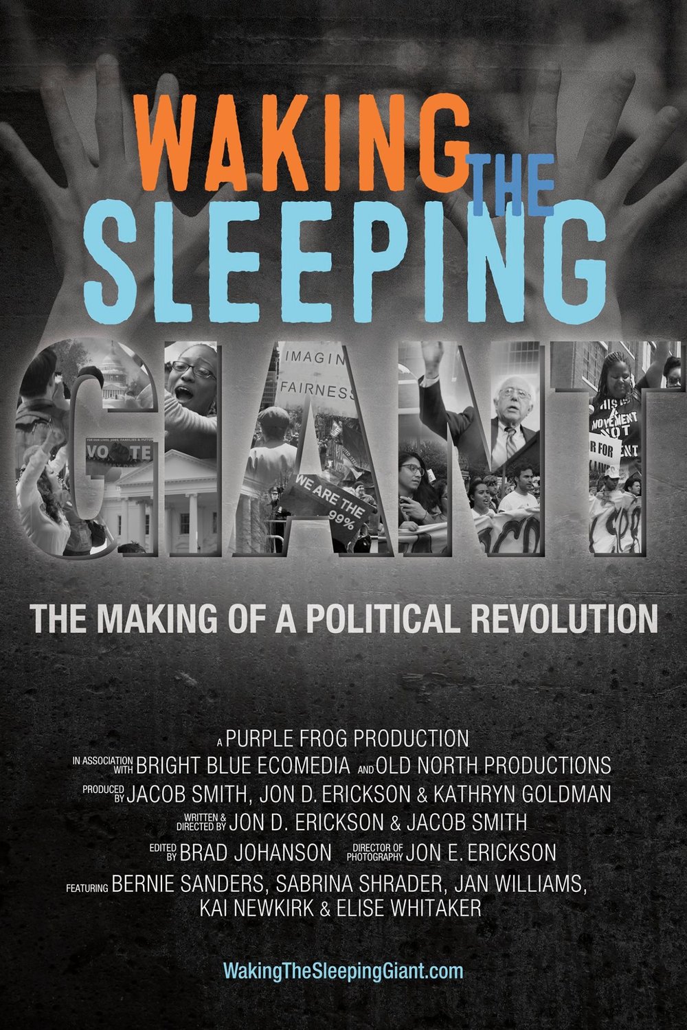 L'affiche du film Waking the Sleeping Giant: The Making of a Political Revolution