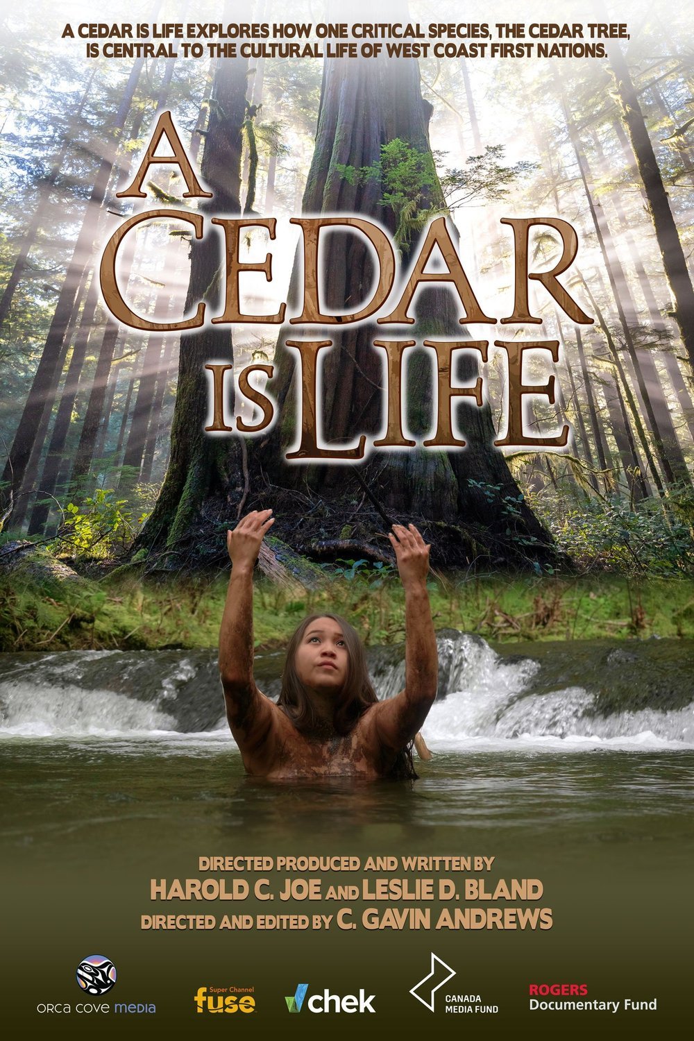 L'affiche du film A Cedar Is Life [2022]