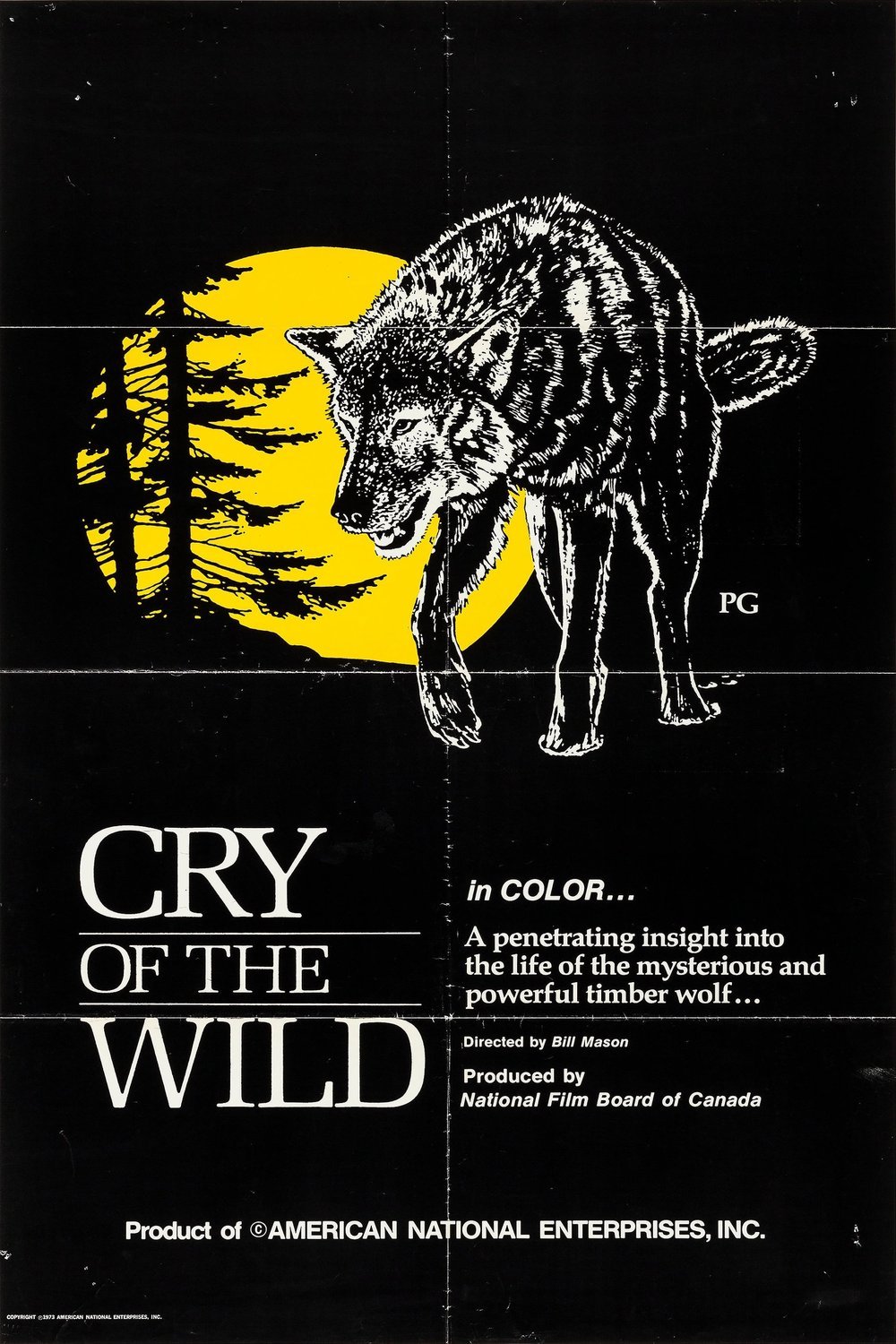 Poster of the movie Cry of the Wild [1973]