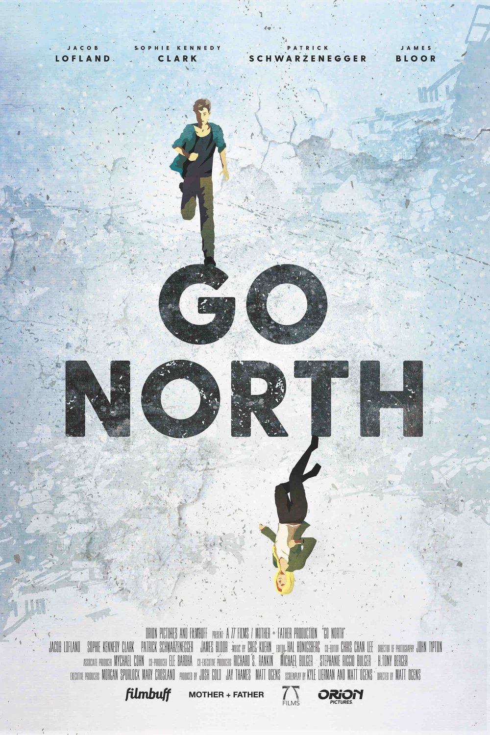 Poster of the movie Go North