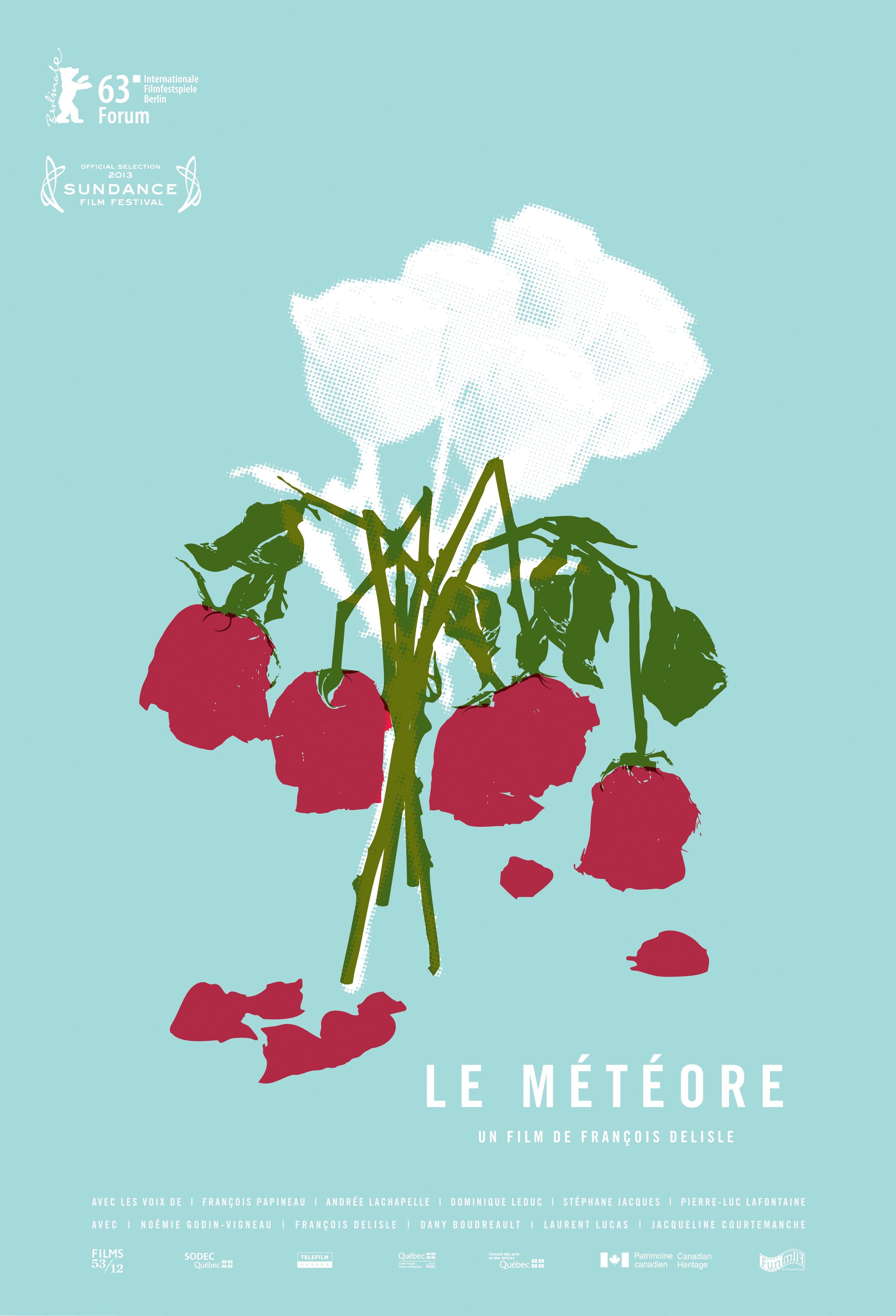 L'affiche du film The Meteor
