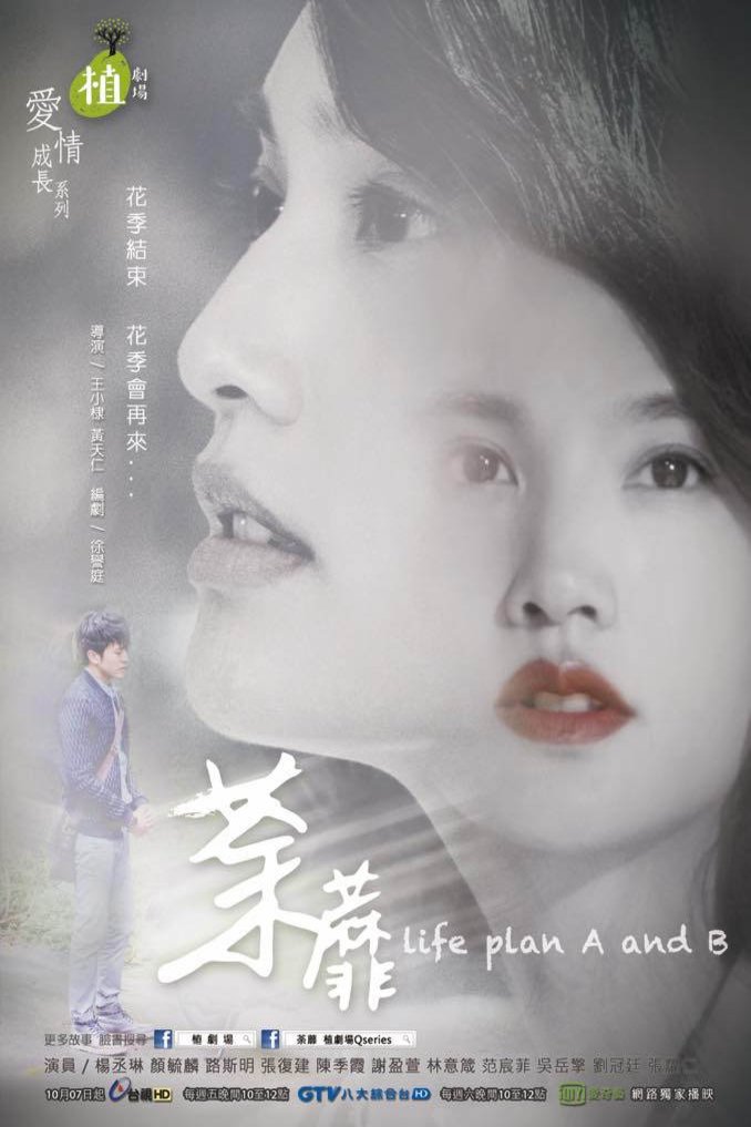 L'affiche originale du film Life Plan A and B en mandarin