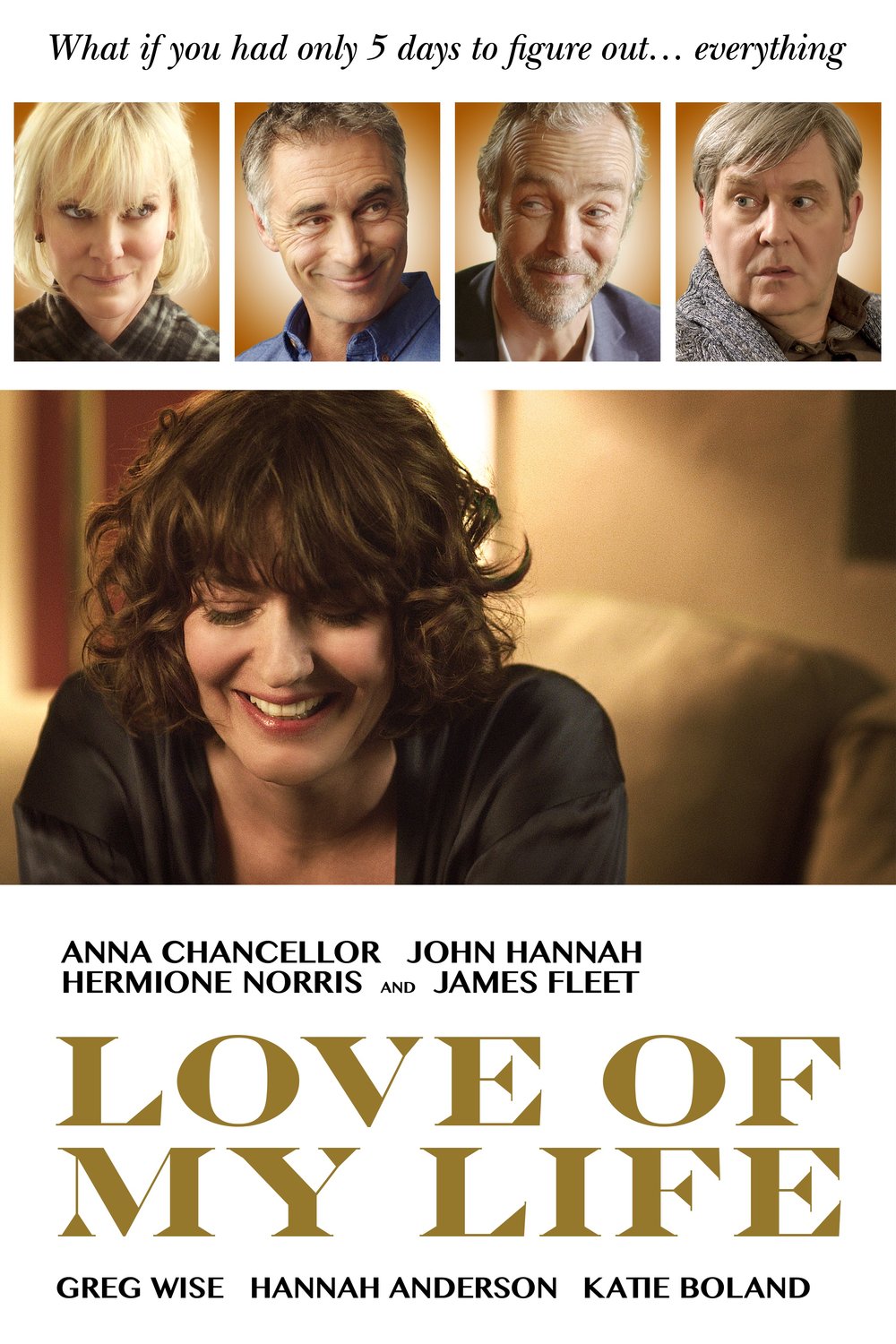 Poster of the movie Love of My Life [2017]
