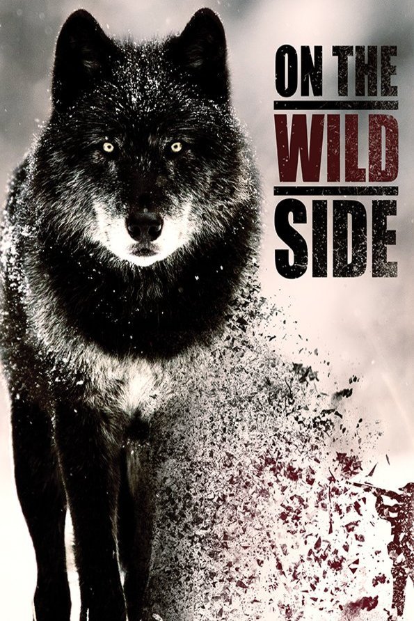 Poster of the movie On the Wild Side [2020]