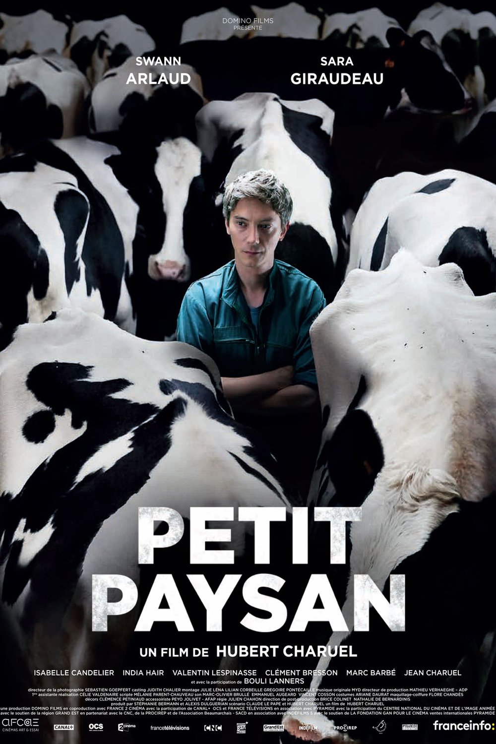 Poster of the movie Petit paysan