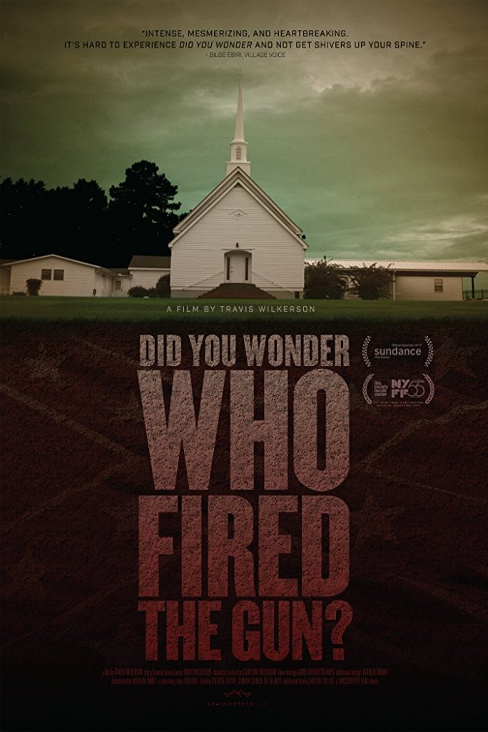 Poster of the movie Did You Wonder Who Fired the Gun?