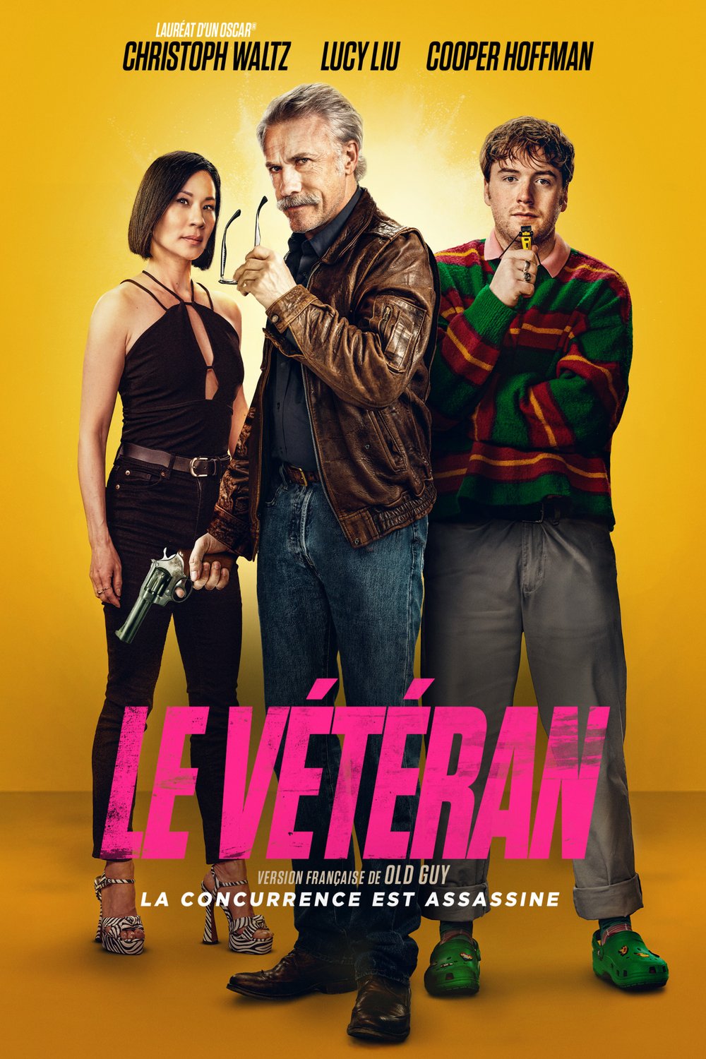Poster of the movie Le Vétéran