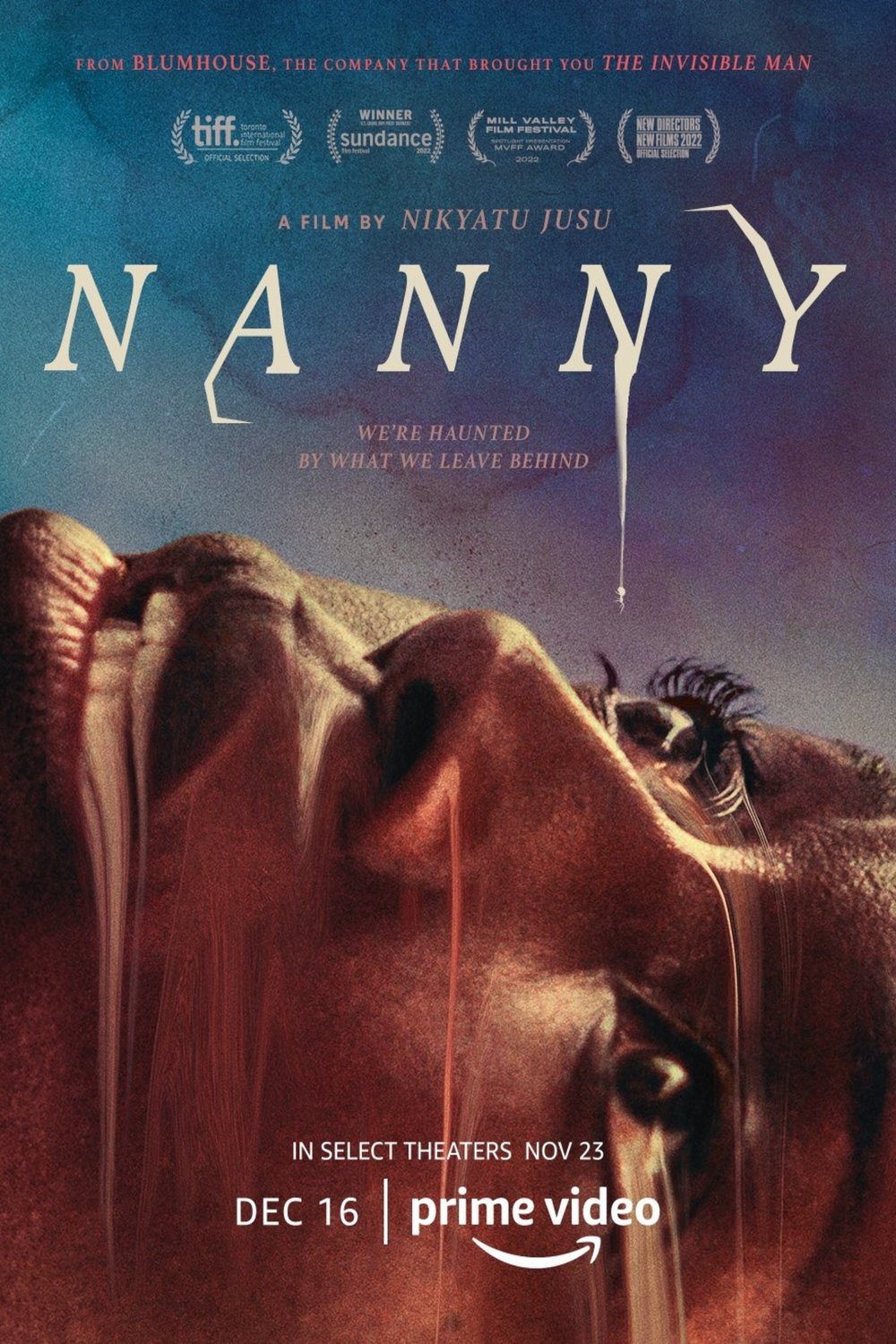 Wolof poster of the movie Nanny
