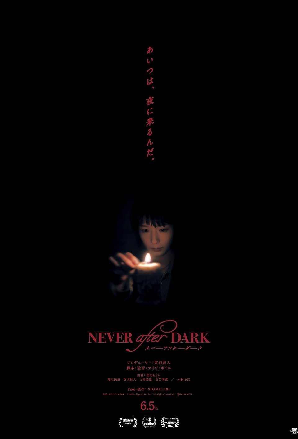 Poster of the movie Never After Dark [2026]