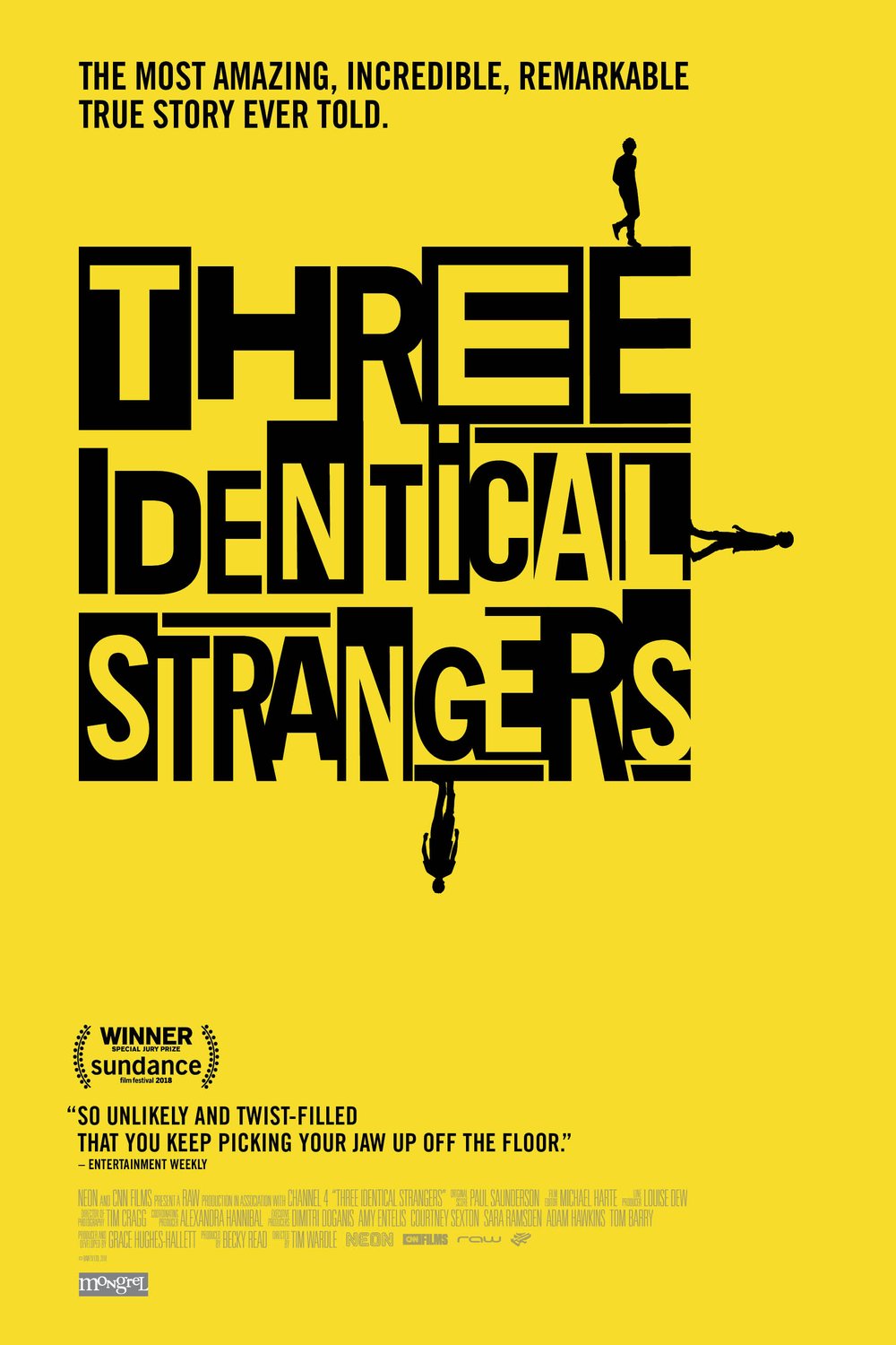 L'affiche du film Three Identical Strangers