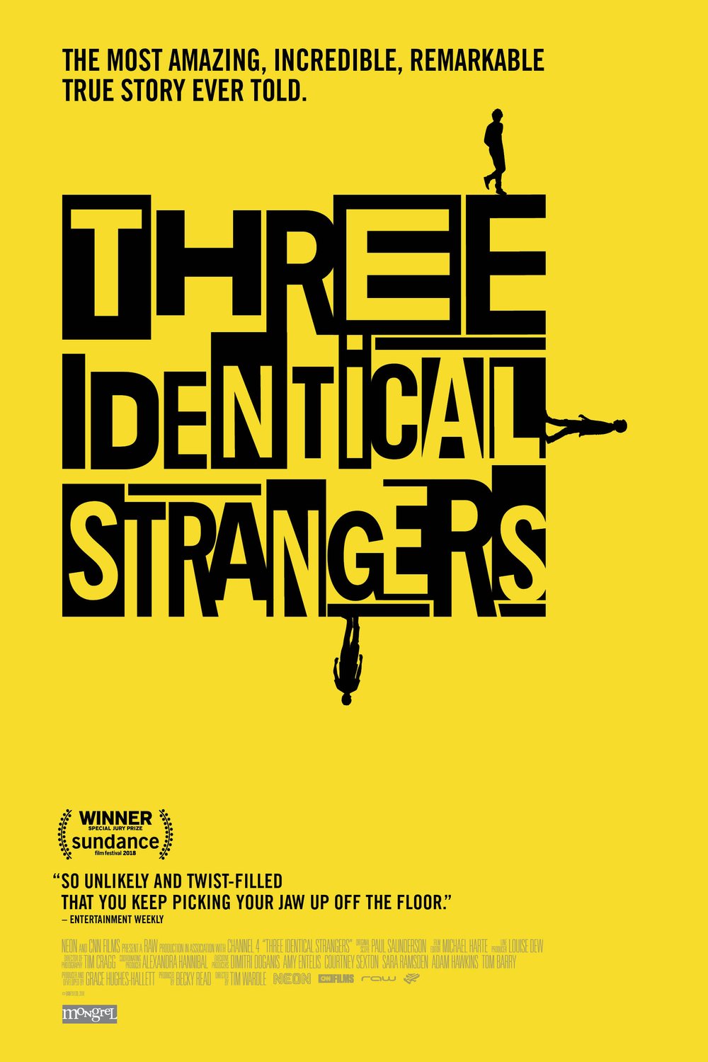 L'affiche du film Three Identical Strangers [2018]