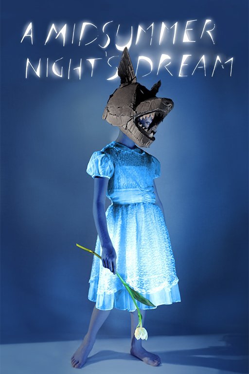 L'affiche du film A Midsummer Night's Dream [2014]