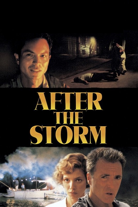 Poster of the movie After the Storm