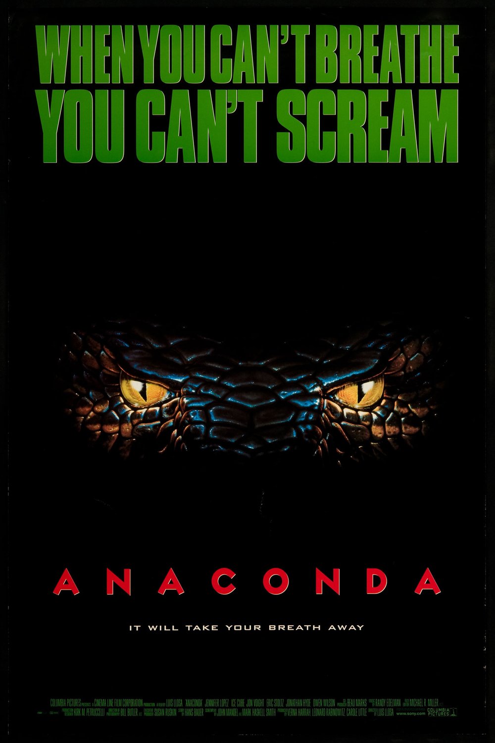 Poster of the movie Anaconda