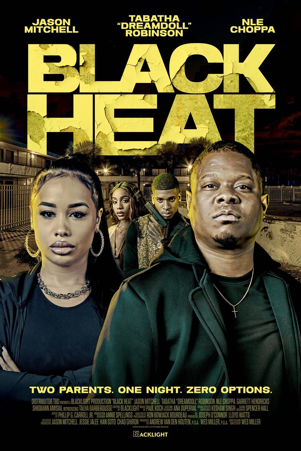 Poster of the movie Black Heat