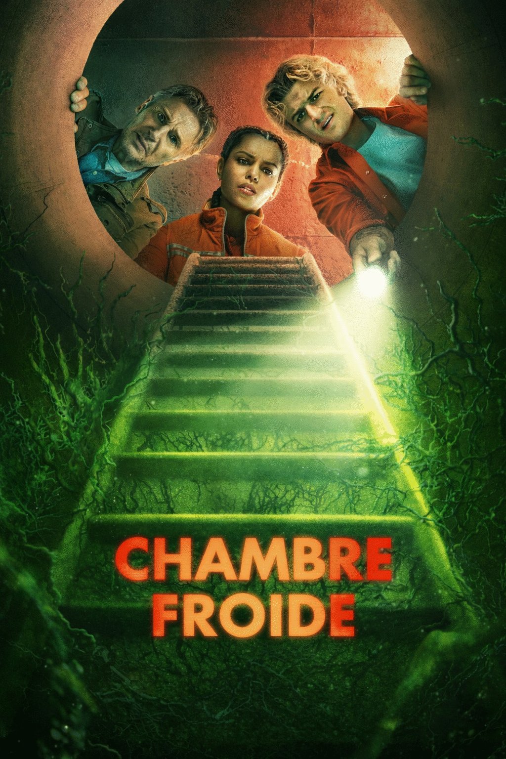 Poster of the movie Chambre froide