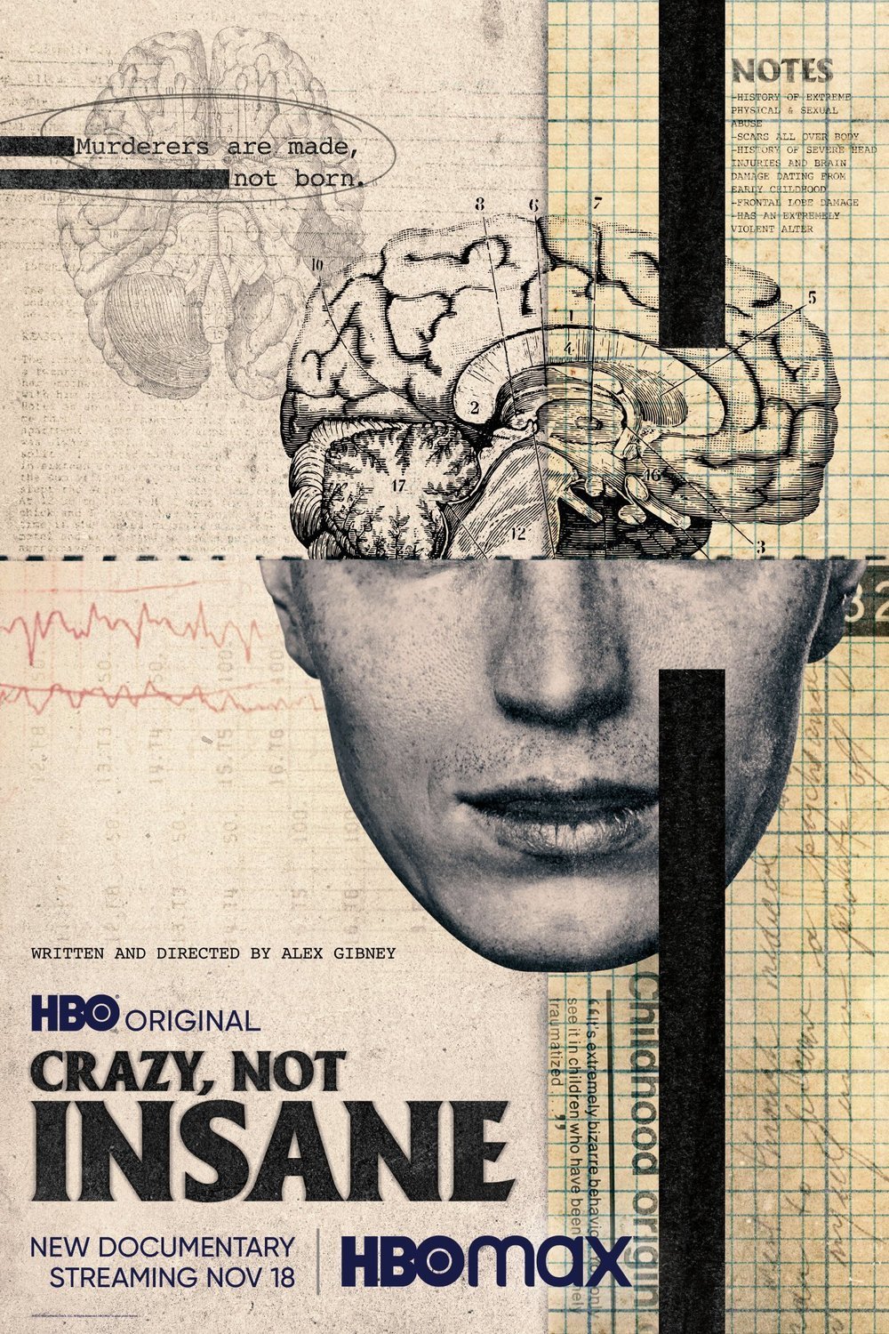 L'affiche du film Crazy, Not Insane