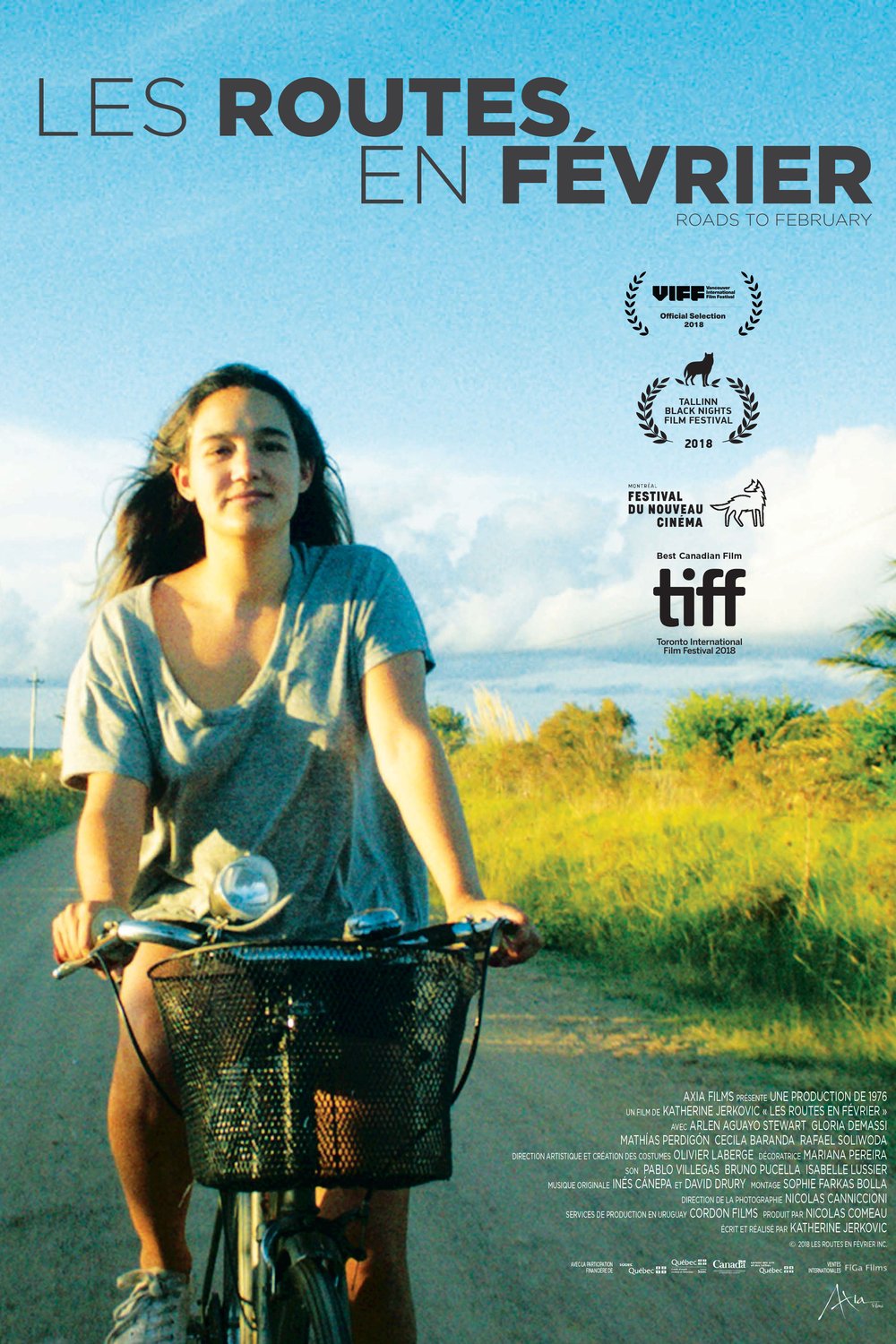 Poster of the movie Les Routes en février