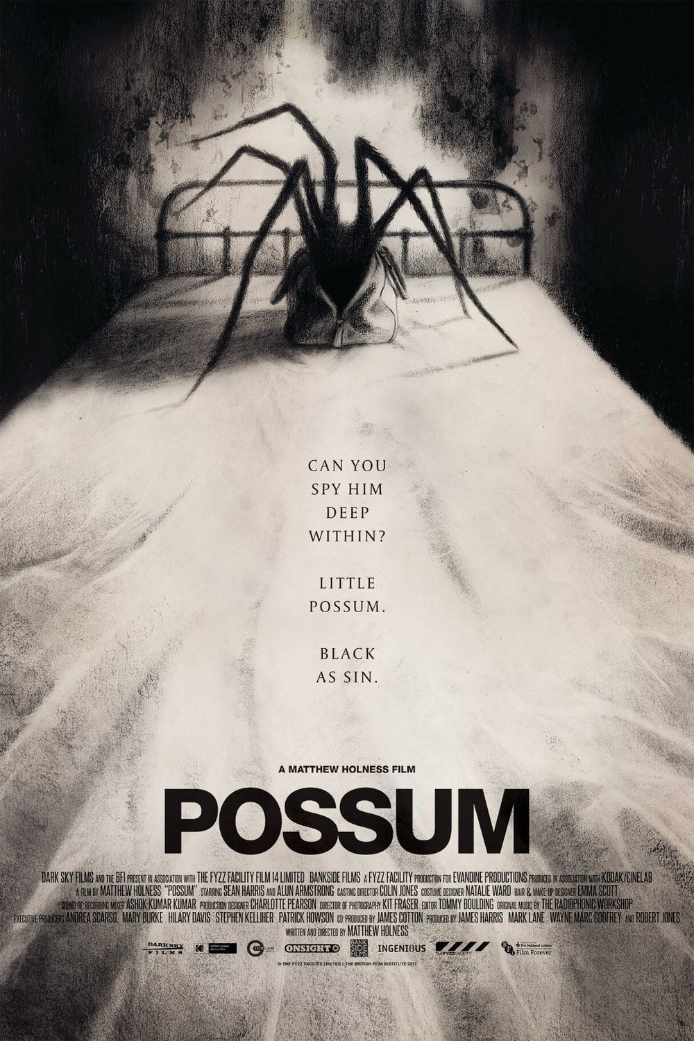 Poster of the movie Possum