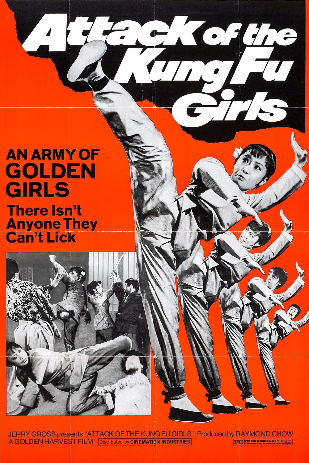 L'affiche du film Attack of the Kung Fu Girls
