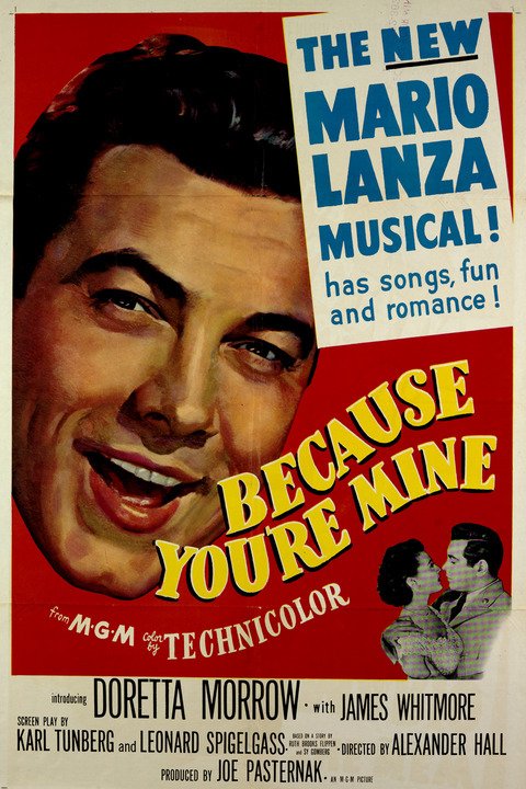 L'affiche du film Because You're Mine