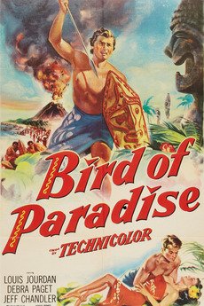 L'affiche du film Bird of Paradise
