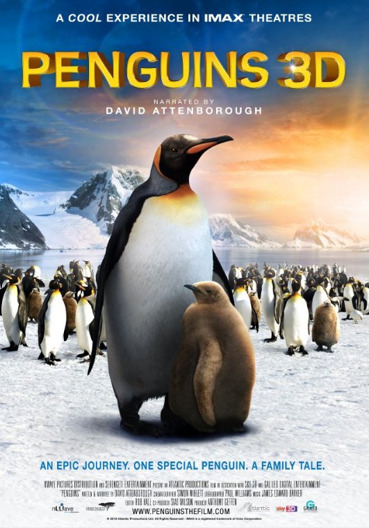 Poster of the movie Penguins
