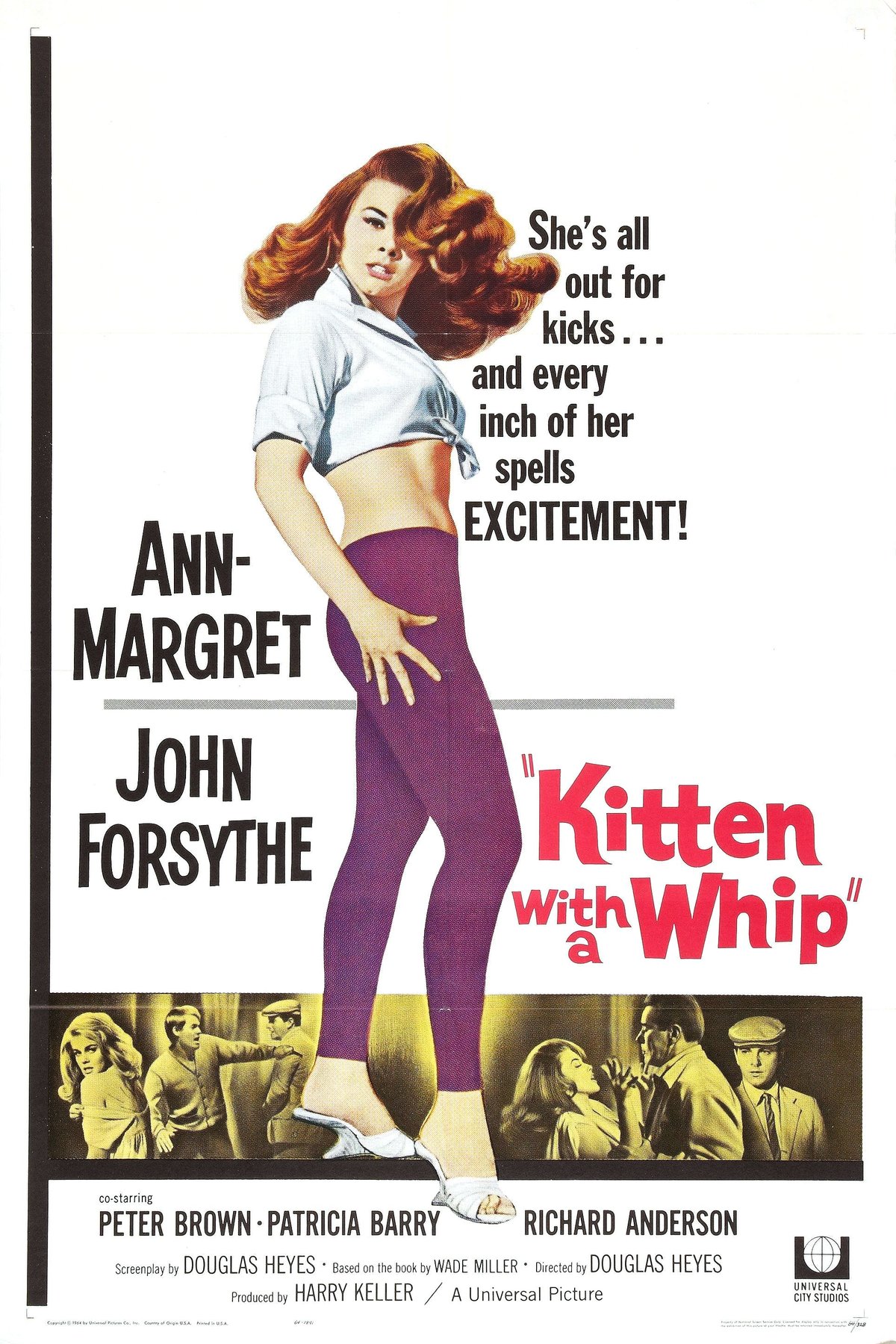 L'affiche du film La chatte au fouet [1964]