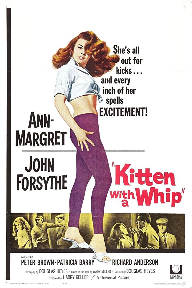 L'affiche du film Kitten with a Whip