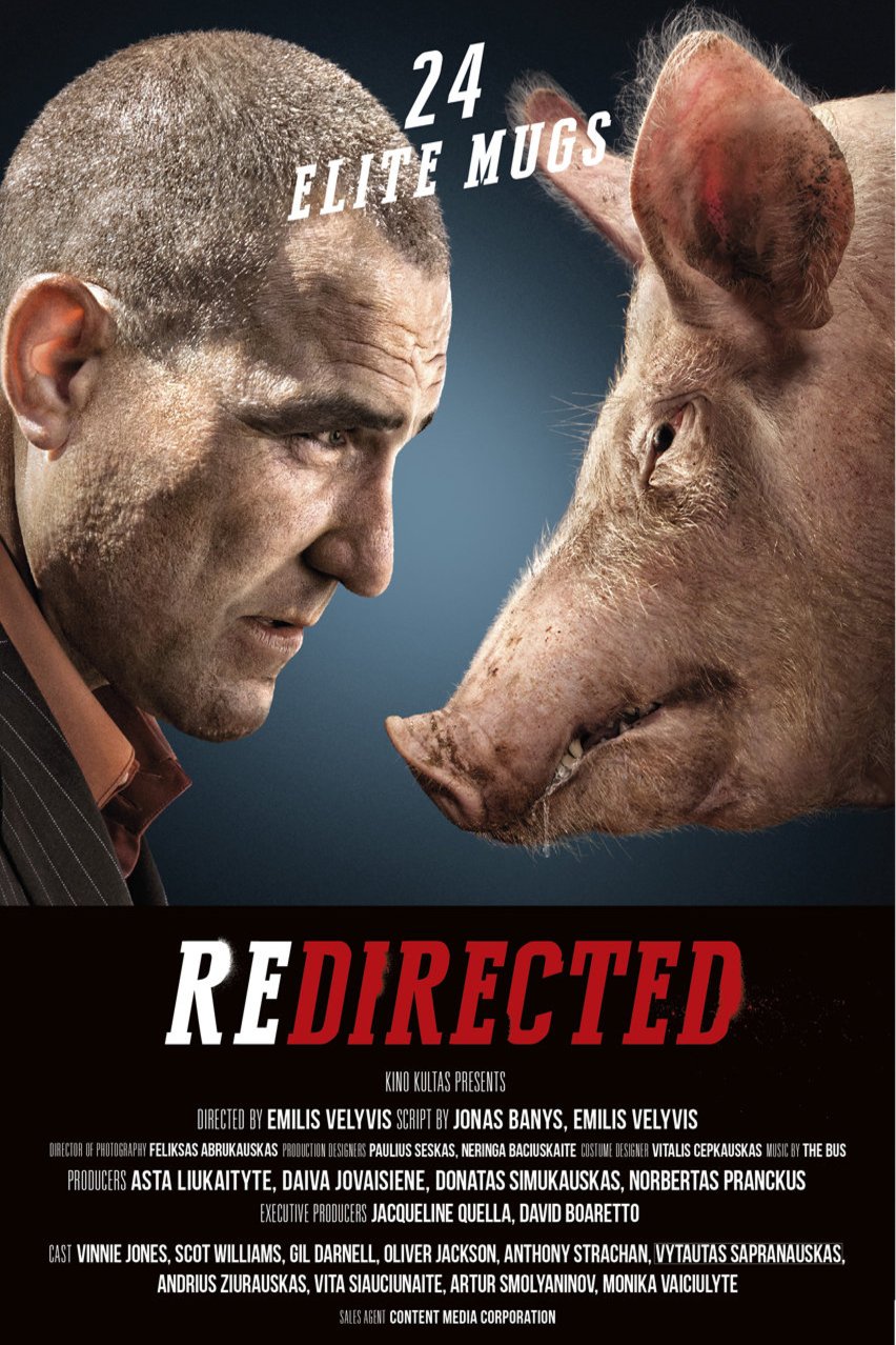 L'affiche du film Redirected