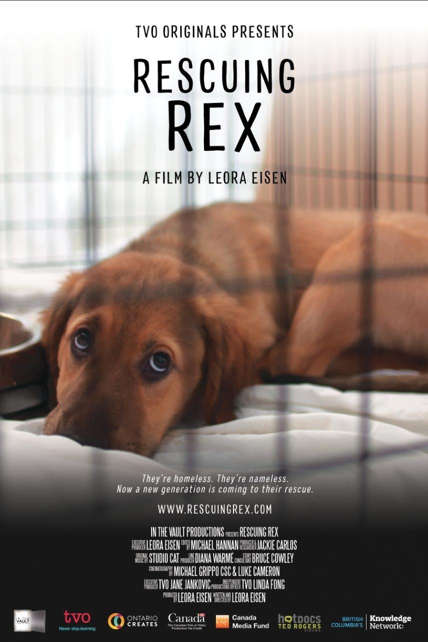 L'affiche du film Rescuing Rex