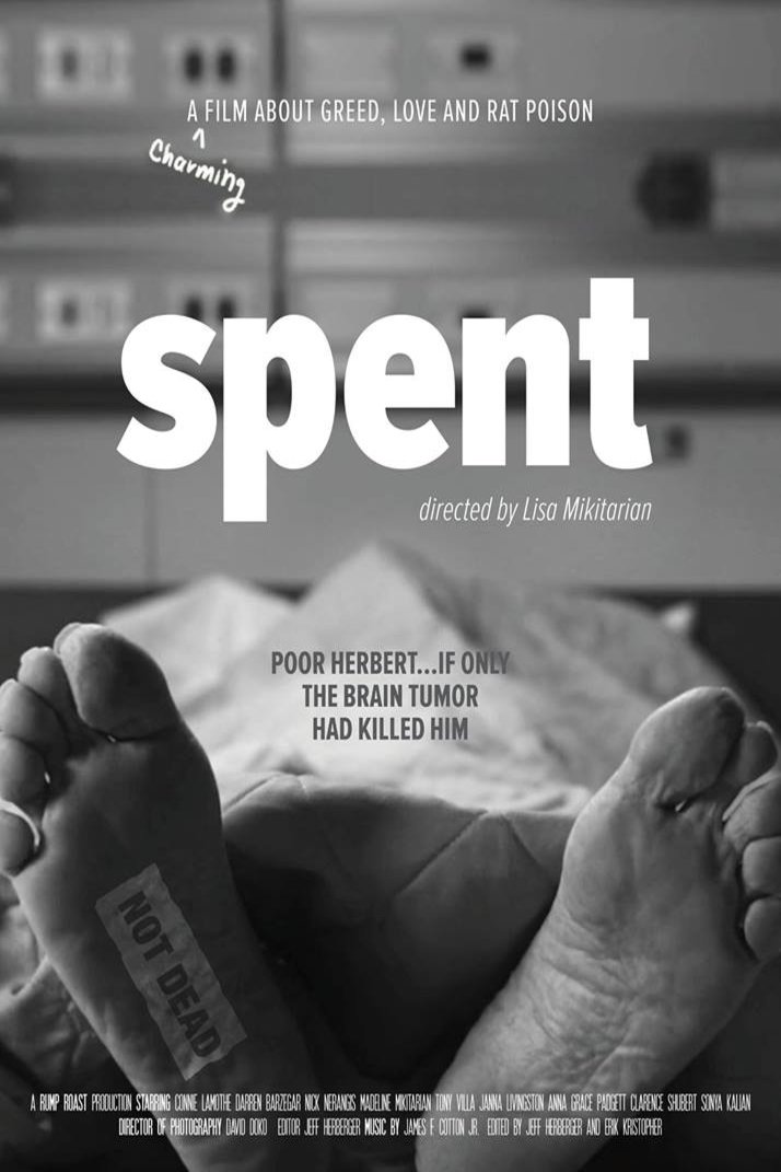 Poster of the movie Spent