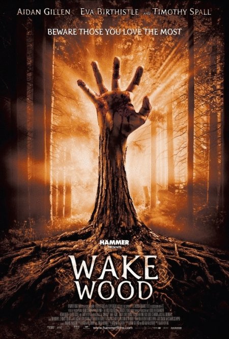 L'affiche du film Wake Wood