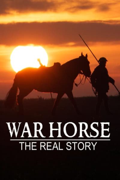 Poster of the movie War Horse: The Real Story [2012]
