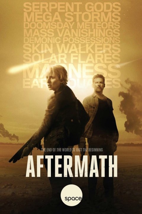 Poster of the movie Aftermath