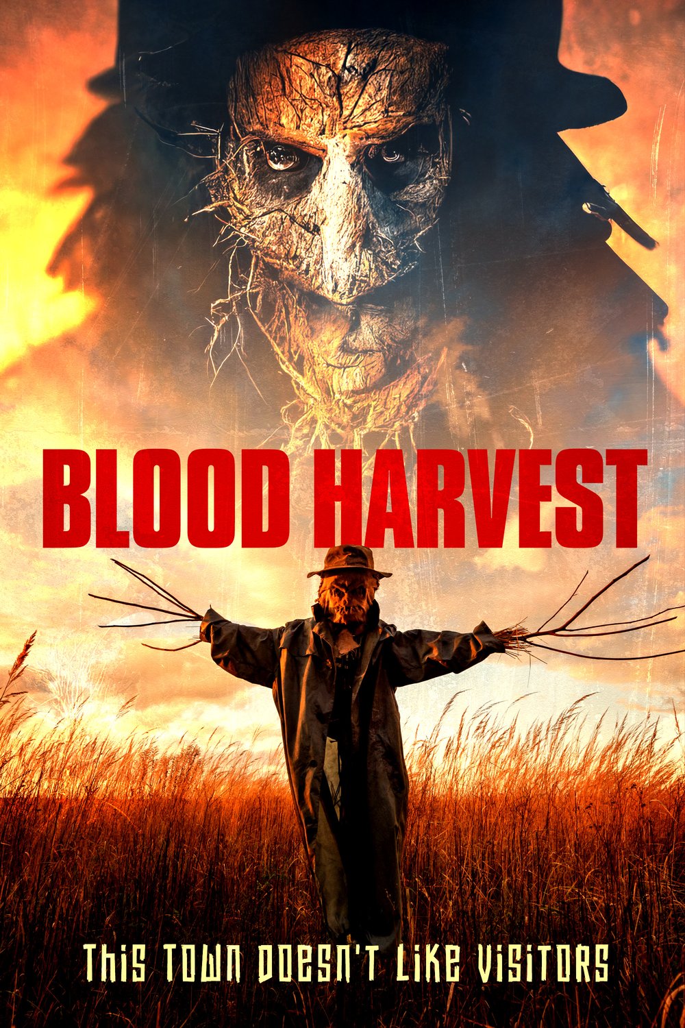 L'affiche du film Blood Harvest