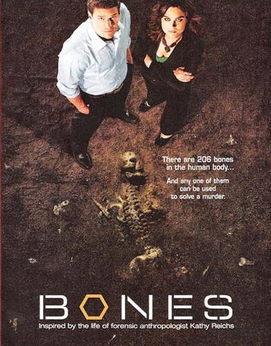 Poster of the movie Bones