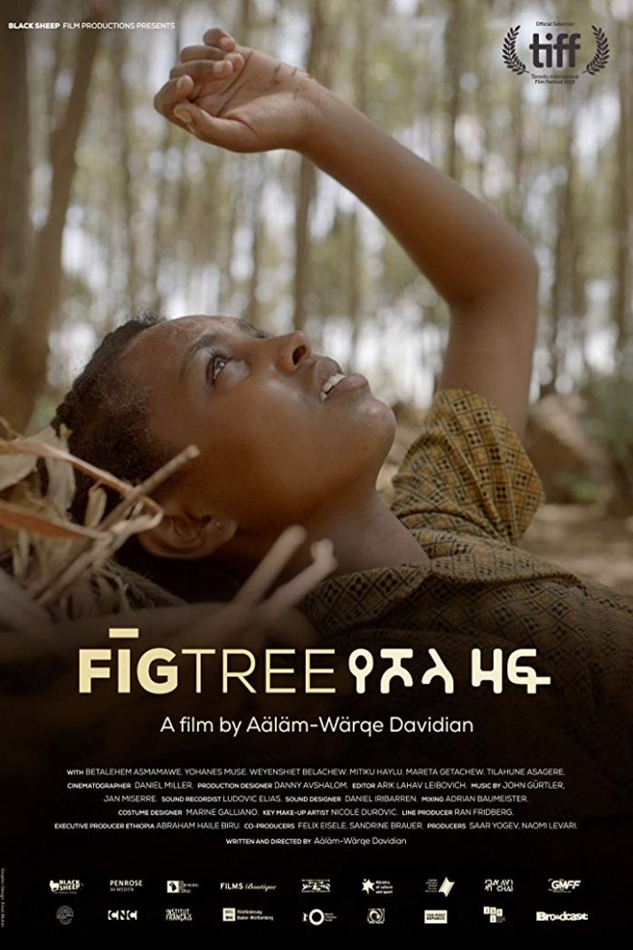 L'affiche originale du film Fig Tree en Amharique